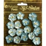 Penny Lane - Forget Me Nots - Robin Egg Blue